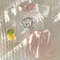 Летние нарукавники, розовый комплект, короткий рукав