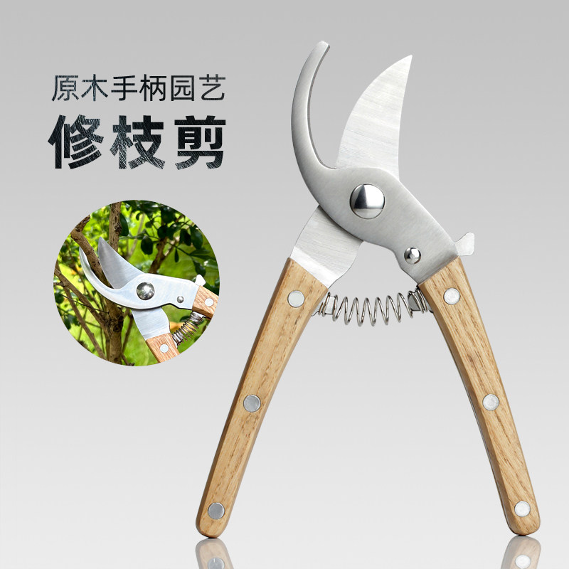 园艺剪刀修枝剪家用花卉盆景造型粗枝专用剪子省力园林果树修剪刀
