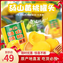 Sugar water canned yellow peach canned fresh fruit Baked open canned whole box 12 cans X425g Multi-province