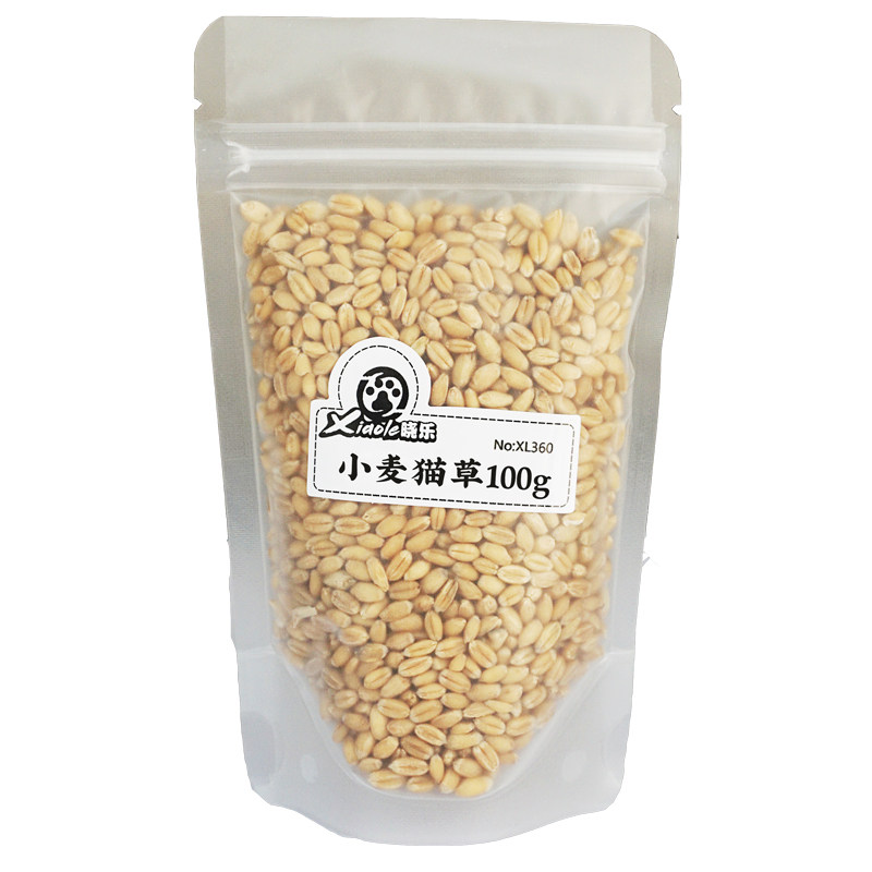 Wheat cat grass 100g