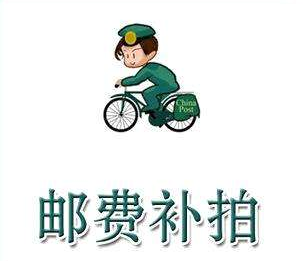 A postage supplement for a postage supplement