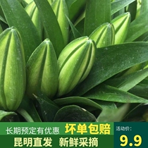 Yunnan base straight hair perfume lily flowers Kunming birthday rose bouquet Household water raising office flower arrangement