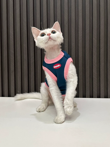 Ren Facai Оригинальный модный жилет чистый хлопок безволосая одежда для кошачьи одежды Dewen Одежда Sphinx Cat милый