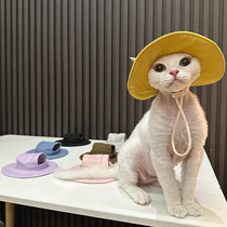 Ren Hair Finance Classic Base Style Sun Hat No Hairy Cat Clothes Devin Clothes Sfinx Cat Cute