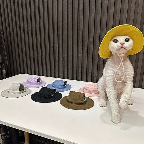 Renfacai Classic Basic Sun Stat