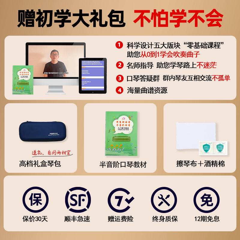 飞繁12孔C调口琴:开启音乐梦想的专业伴侣