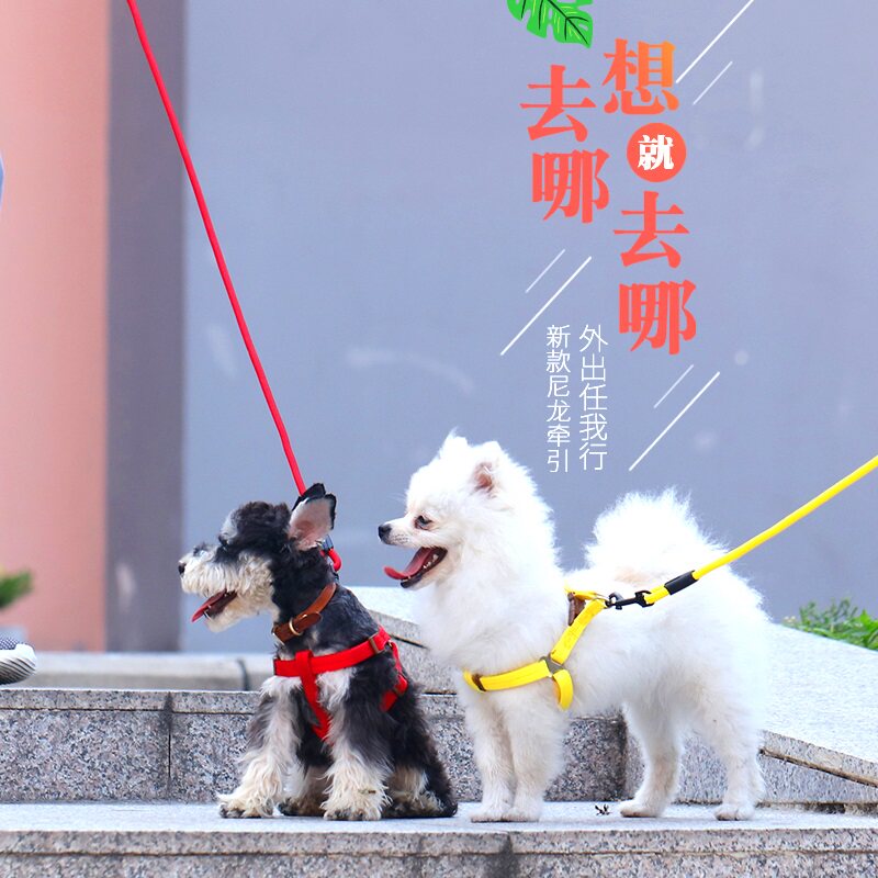 Dog traction rope dog chain Teddy golden retriever small and medium-sized dog puppy walking dog rope holding baby bag pet supplies collar