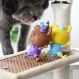 Зазор 5.9 Юань] Симпатичный енот может говорить на маленьких собачьих домашних животных с зубами с игрушками