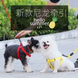 Собака для собак цепь плюшевые золотые волосы маленькие средние щенки щенка для собак веревочный ремень для питомца при снабжении воротник