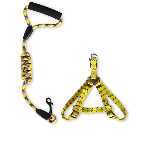 Собака для собак цепь плюшевые золотые волосы маленькие средние щенки щенка для собак веревочный ремень для питомца при снабжении воротник