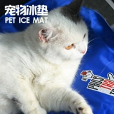 Только M Code 6.9 от Qing Zheng Ying Nai, чтобы взять коврик для собак Row Padding и лето.