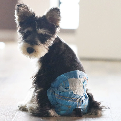 Прозрачная специальная цена 9,9] Физиологические штаны для собак.