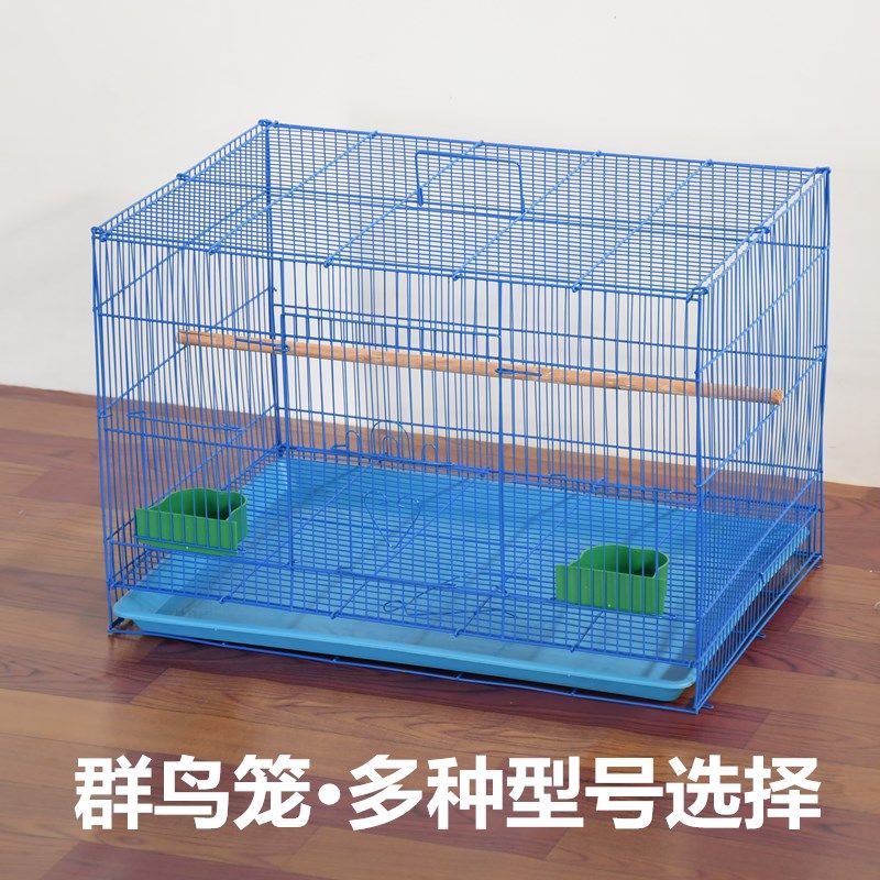 Special bird cage parrot bird cage pigeon cage myna peony parrot bird cage rutin chicken cage