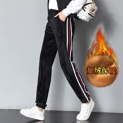 子晴裤业 ZQKY258