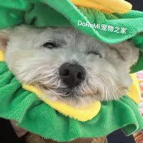 DoReMi pet house to blame for photo headgear Props Burger Headgear Collar Cap Kitty Pooch Elizabeth