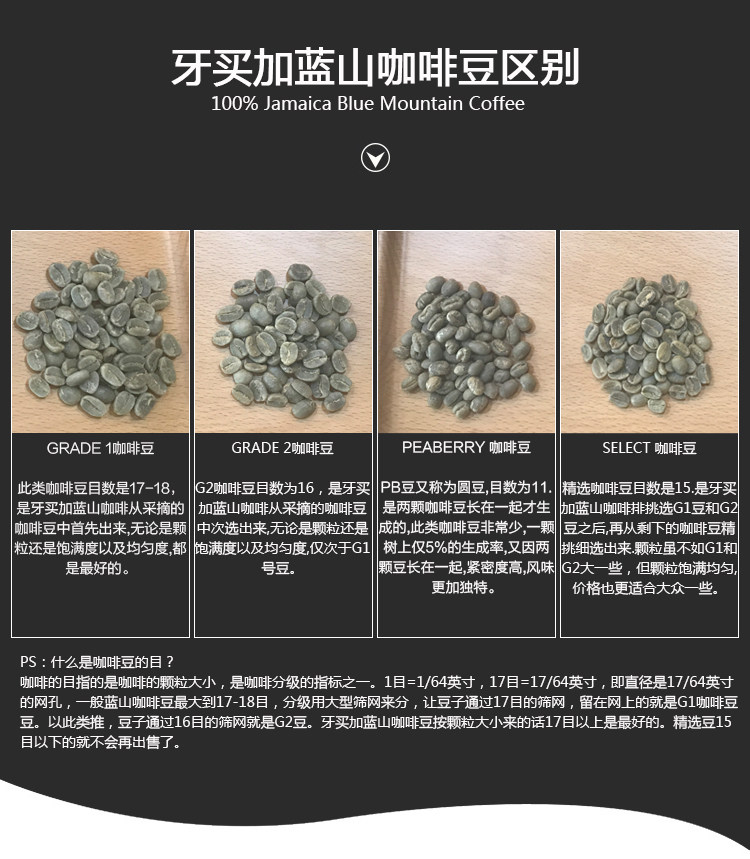 牙买加蓝山咖啡豆生豆G1咖啡豆