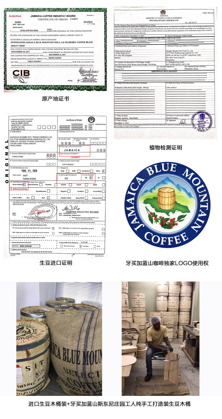 牙买加蓝山咖啡豆生豆G1咖啡豆