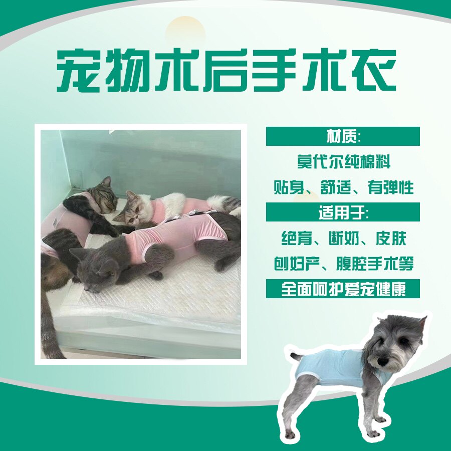 宠宠衣小店的LOGO