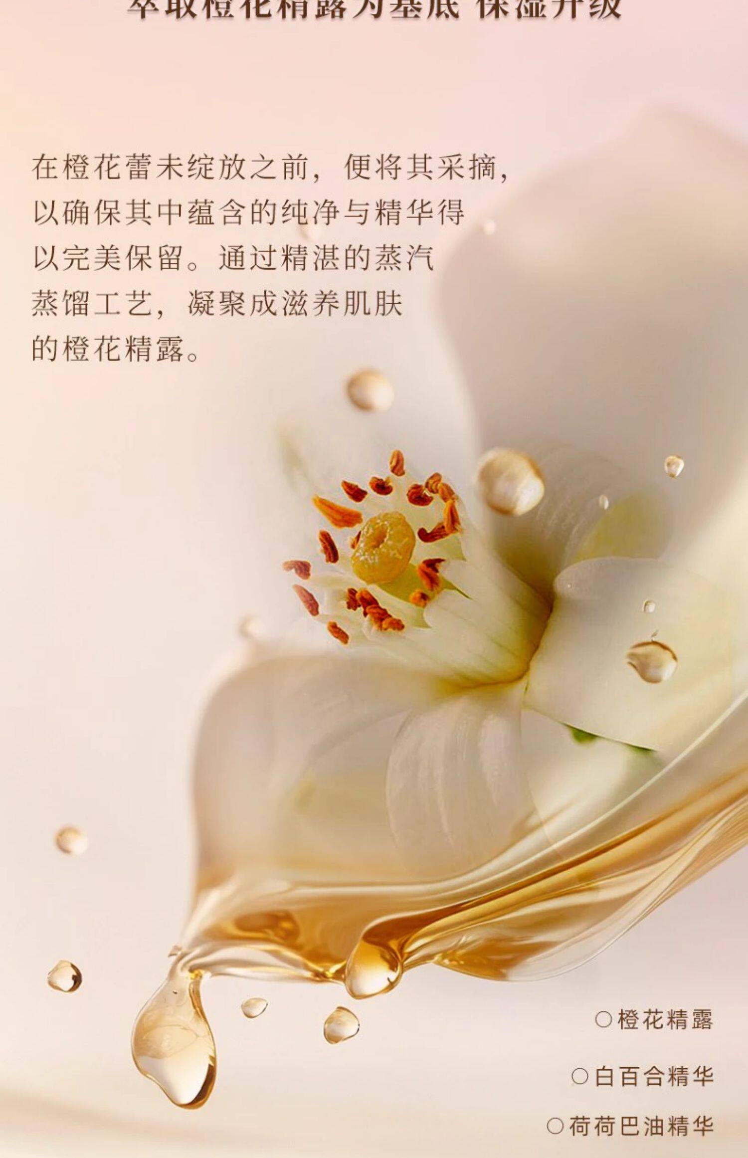 【日本直邮】日本 PAUL&JOE 搪瓷隔离 丝润防晒隔离霜30ml SPF15+ #01粉嫩色