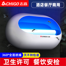 Zhigao fly killer lamp Shop wall-mounted commercial sticky mosquito killer kitchen wall-mounted fly killer artifact trap