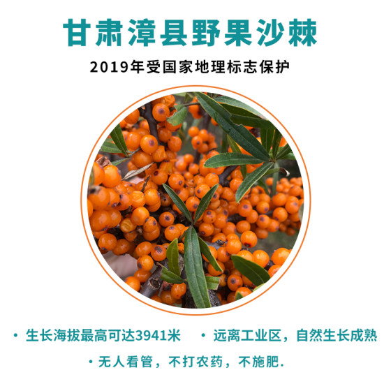 Aikang Sea Buckthorn Oil 250ML Oral Sea Buckthorn Fruit Oil Authentic Large Bottle Energy Oil Sea Buckthorn Oil Official Flagship Store