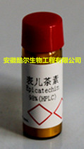 Epicatechin Epicatechin EC 490-46-0 ≥ 98%(HPLC) Spot with ticket Kuer reagent