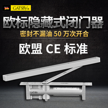  German GATSBY invisible hidden automatic door closer Hotel concealed hydraulic buffer hidden door closer