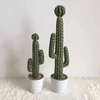 New children's fresh photography props simulation cactus plant wedding photography fashion personality shooting props