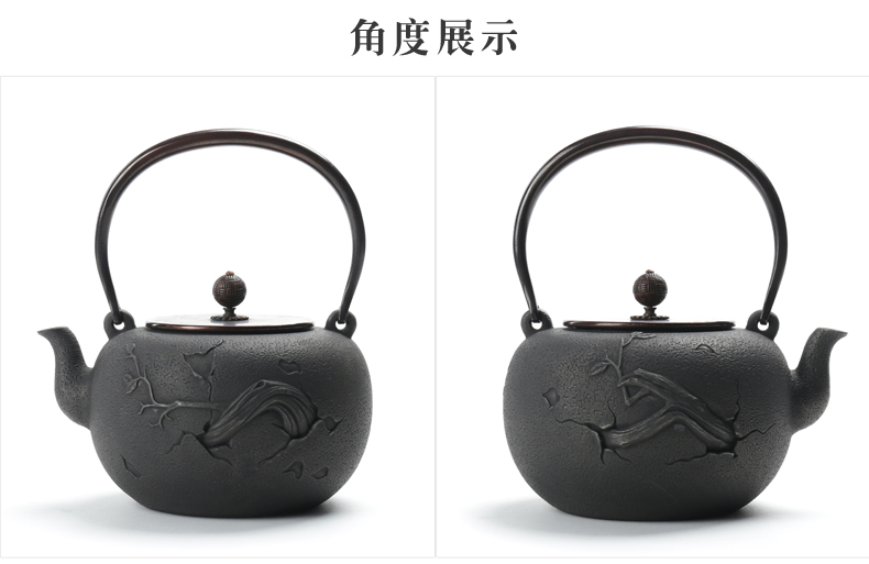 ZongTang iron pot of cast iron teapot tea kettle imitation in southern Japan boiling tea machine electricity TaoLu half a hand