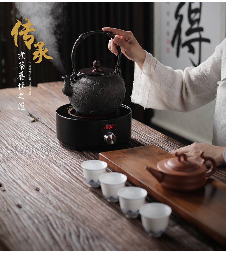 ZongTang iron pot of cast iron teapot tea kettle imitation in southern Japan boiling tea machine electricity TaoLu half a hand