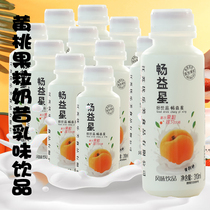 Food replacement fruit milkshake yogurt drink 12 bottles whole box yellow peach flavor milk breakfast probiotics lactic acid bacteria strawberry flavor