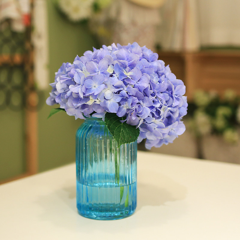 花裏家多色繡球花家用水培生日鮮花粉色藍色水培花卉同城速遞