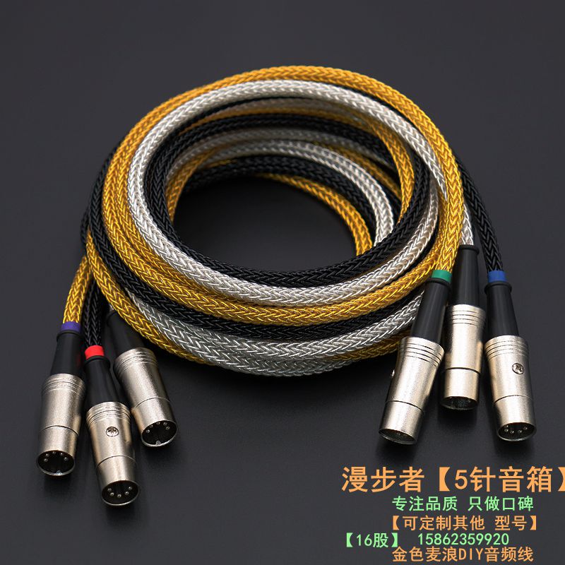 Suitable for Edifier S880 A100 S1000 S2000 S 301201   R2000Db Five-Pin Main and Deputy