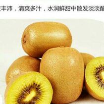 Yellow heart kiwi fruit fresh golden peach wild kiwi fruit for pregnant women fruit origin Xixia Henan sweet golden fruit
