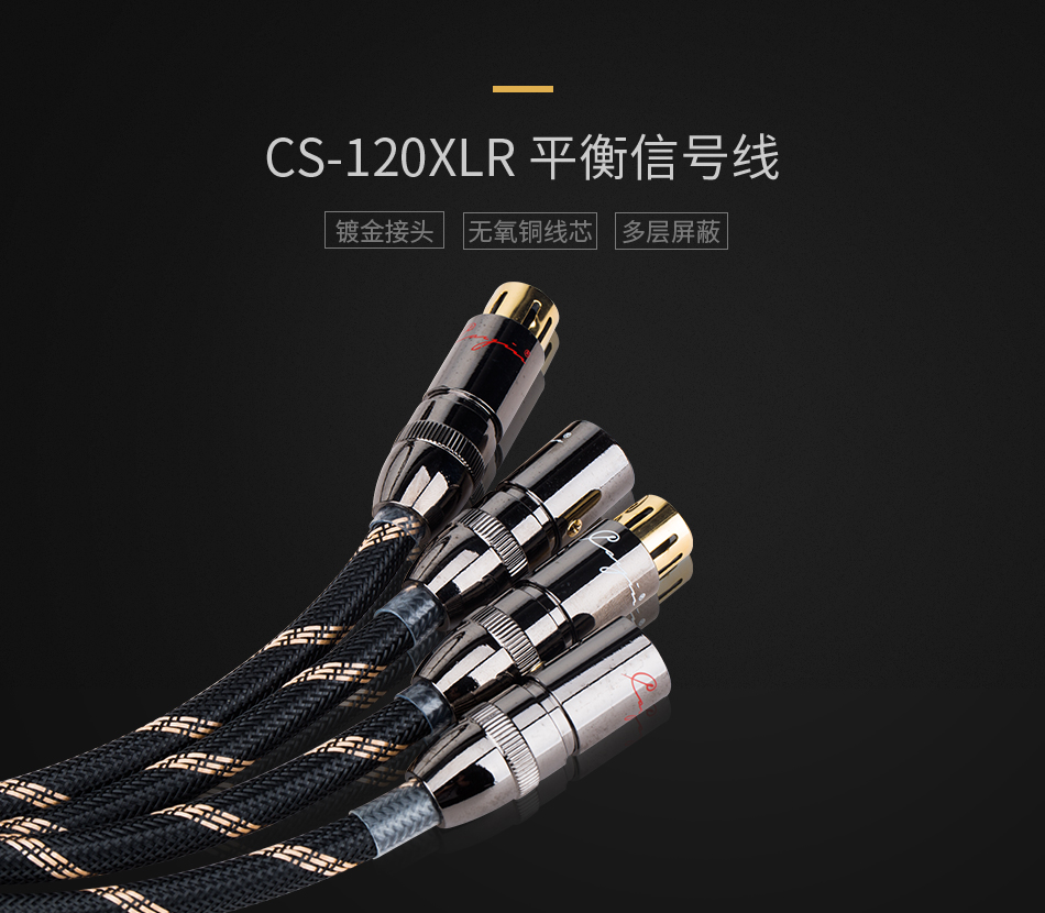 CS-120XLR插图