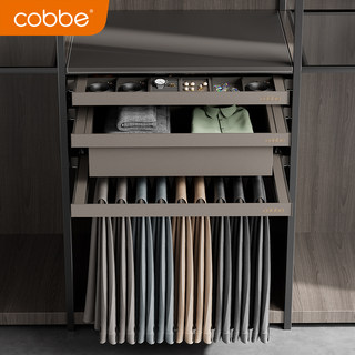 Pants Rack Wardrobe with Built-In Jewelry Box, Drawer-Style Leather Multifunctional Pants Organizer, Wardrobe Pull-Out Basket, Telescopic Grid Drawer