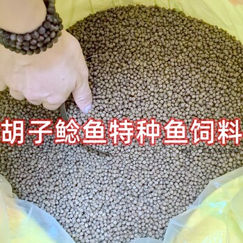 ອາຫານປາເປັດ, ອາຫານປາພິເສດ, ປາທີ່ມີທາດໂປຼຕີນສູງ, ປາແດກປາກ, ອາຫານປາແດກພິເສດຂອງປາ egyptian