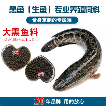 ອາຫານປາດຳໃຫຍ່ ໂຊກຊະຕາ ປາໃຫຍ່ ລ້ຽງປາອາຫານພິເສດ ລ້ຽງປາດິບ ປາຂາວ ປາເຈັດດາວ ປາດຳຫົວເປັດ