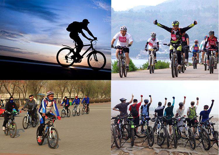 Gants de cyclisme mixte - Ref 2247629 Image 64