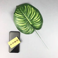 【Fzy-004】 листья арбуза