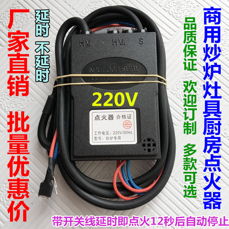 220V ultra-high energy strong pulse igniter 12 seconds delay type with switch for frying furnace commercial furnace environmental protection equipment