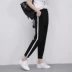 Mùa đông cộng với quần nhung dày giản dị nữ sinh viên quần ống loe quần lọt khe quần thể thao Hàn Quốc phiên bản quần lửng hậu cung quần ngố nữ đẹp Quần Harem