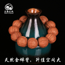 Mentougou Beijing Barringwen play small walnut handstring wild golden cicada back mountain Xiaoqiuzi Zhengyuan male thick tendon short pile