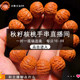 Walnut Wen plays Hericium's high-quality Buddha beads on a plate and plays with Beijing's eight-sided bracelets, an unpopular toad's head plays with men's rosary beads, 108 pieces