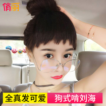 Two-dimensional real hair dog-style gnaw bangs wig film natural round face eyebrow short bangs Repair face incognito female fake bangs