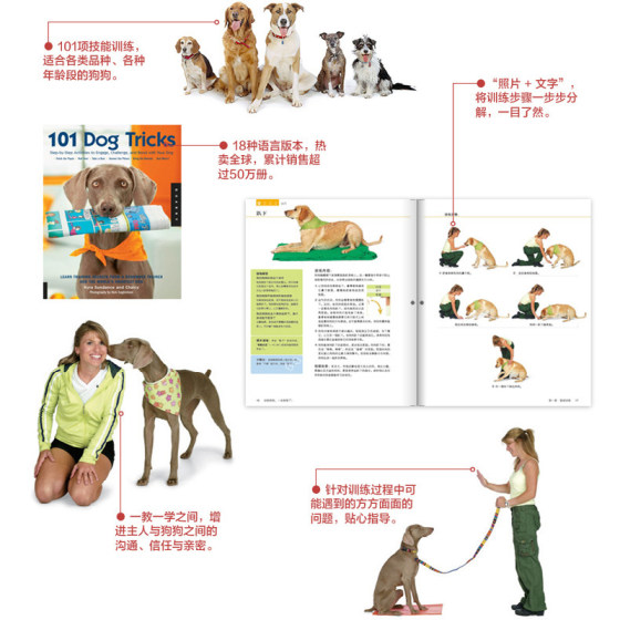 One book is enough to train a dog. Dog training tutorials, dog training books, dog psychology, dog training video books, dog training tutorials, dog training tutorials, methods and techniques, recipes, dog training, dog training tutorials, dog training encyclopedia