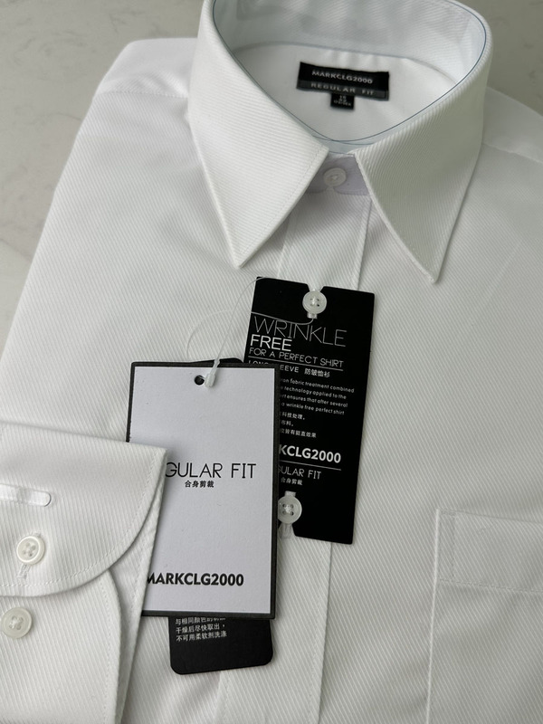 G2000 Men's Shirt Long-Sleeved White Slim-Fit Business Pointed Collar No-Iron Anti-Wrinkle Professional Formal Shirt Workwear