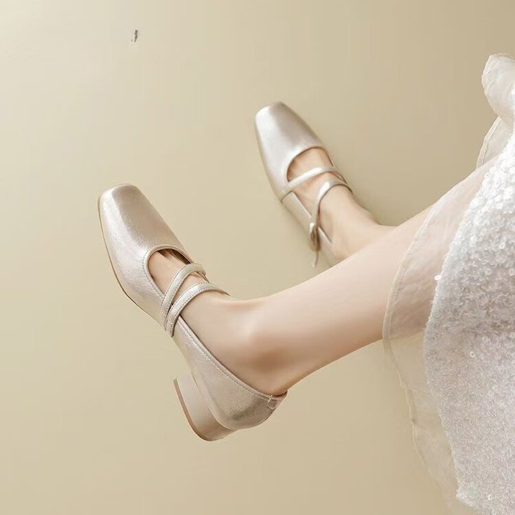 French-Style Low-Heeled Silver Pumps with Chunky Heels for Women, 2026 Spring New Model, Suitable for Pairing with Dresses, Mary Jane Leather Shoes French-Style Low-Heeled Silver Pumps with Chunky Heels for Women, 2026 Spring New Model, Suitable for Pairing with Dresses, Mary Jane Leather Shoes