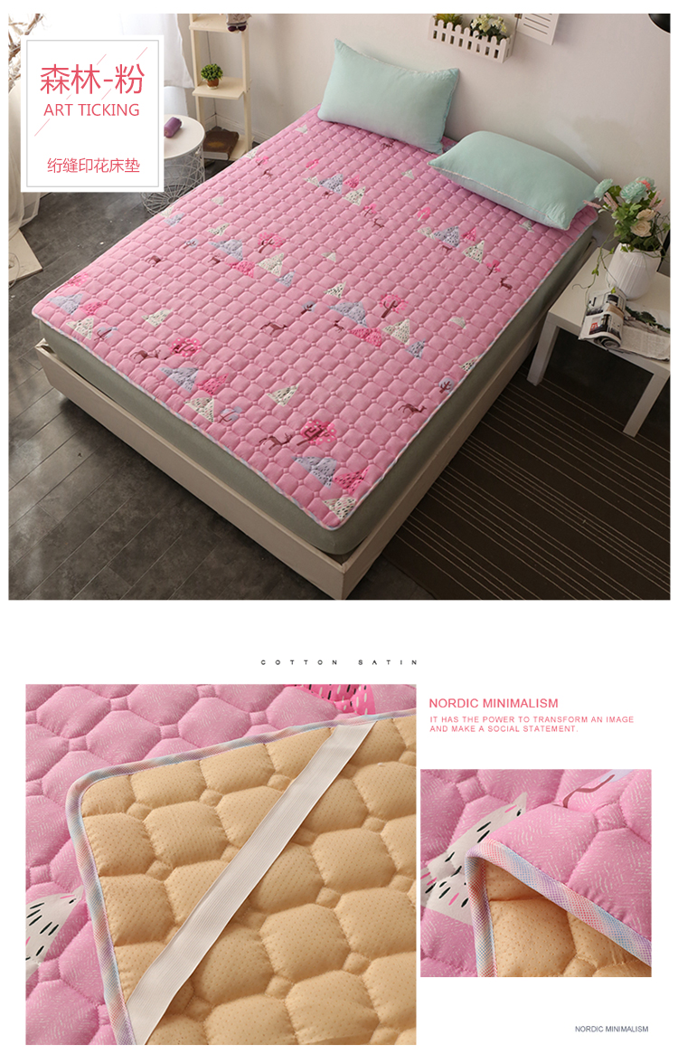 Rửa giường cotton pad mùa hè mát phần mỏng 1.8 m sàn ngủ ngủ mat là tatami non-slip piglet pecs nệm nệm nhỏ