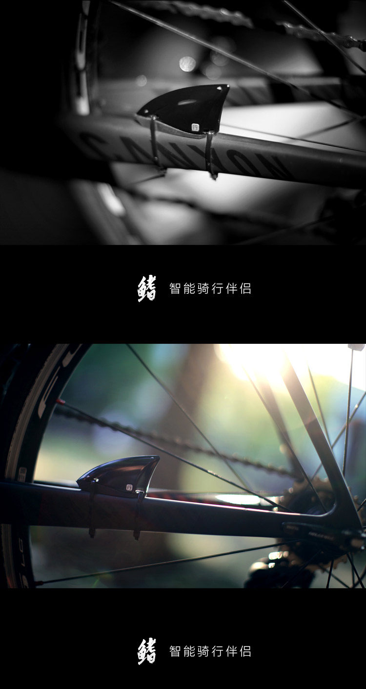 Tableau de bord vélo - Ref 2425917 Image 17